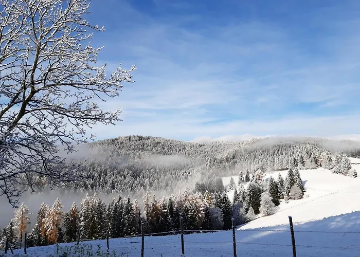 Apartament Auszeit Almhaus Schmalzbauer *